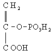 Фосфоенолпировиноградная кислота