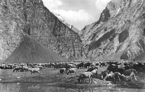Горно-Бадахшанская автономная область. Рис. 4