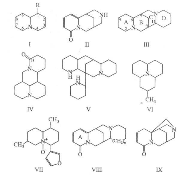 хинолизидиновые алкалоиды