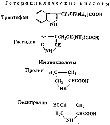 аминокислоты