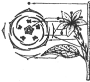 диаграмма цветка
