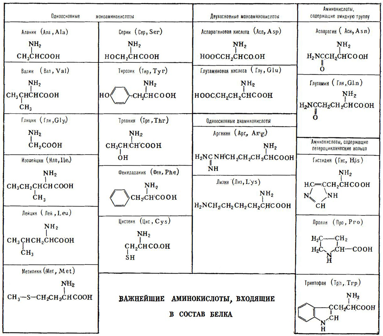 Главные аминокислоты. Таблица 20 аминокислот химия. 20 Альфа аминокислот формулы. Формулы 20 аминокислот таблица. Формулы 20 аминокислот биохимия.