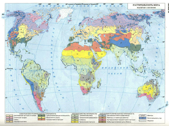 растительность мира (таблица 16)