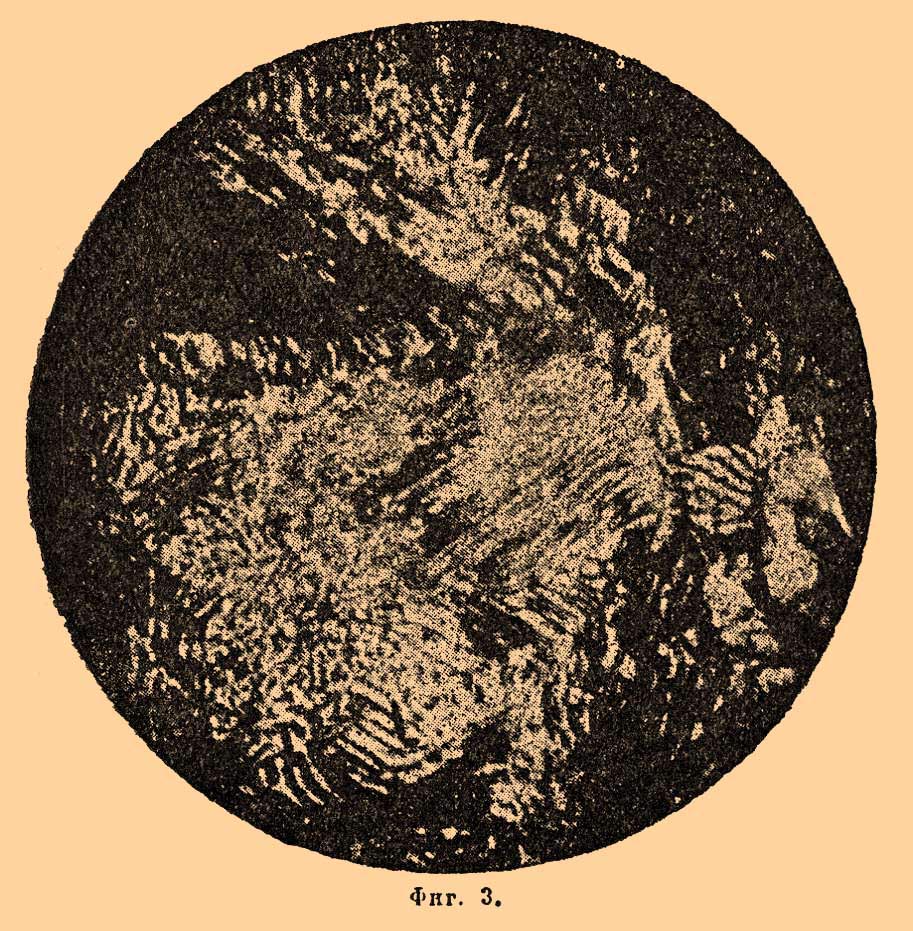 Микроструктура стали. Рис. 2