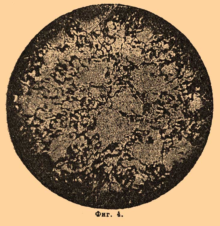 Микроструктура стали. Рис. 3