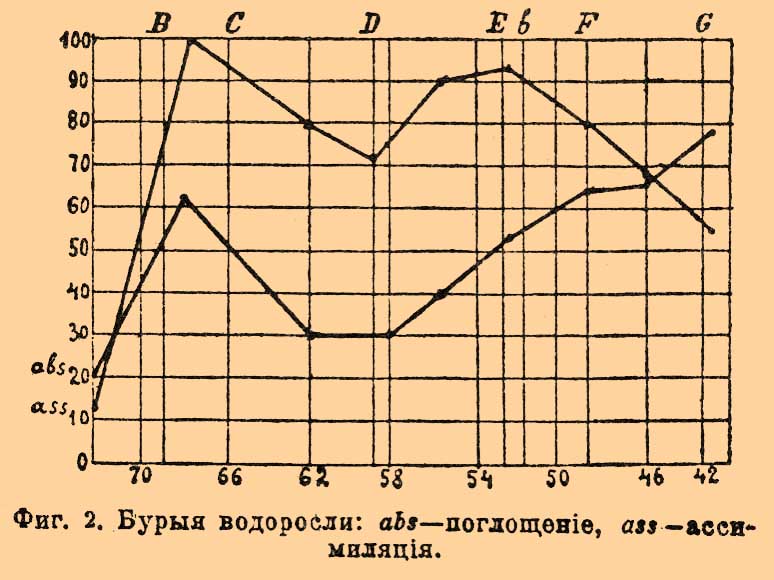 Фикохром. Рис. 1