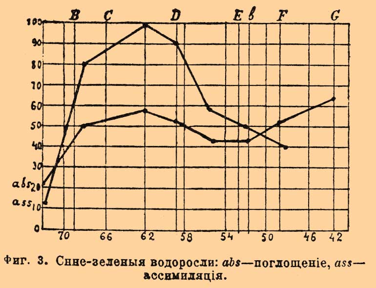 Фикохром. Рис. 2