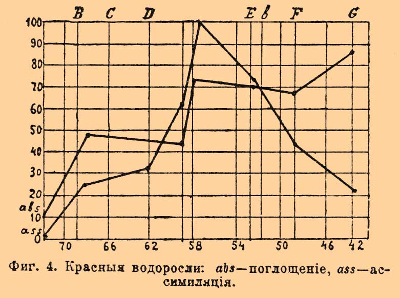 Фикохром. Рис. 3