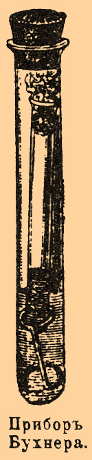 Чистые культуры. Рис. 4