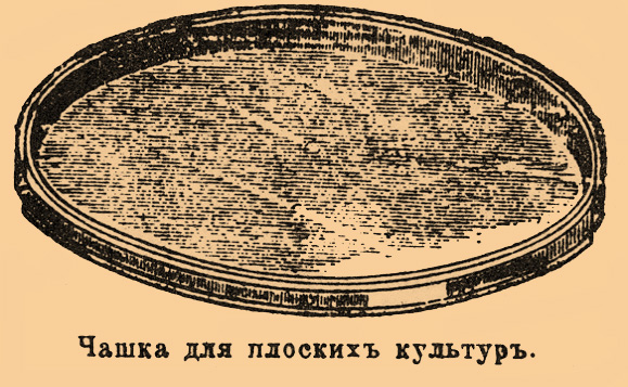 Чистые культуры