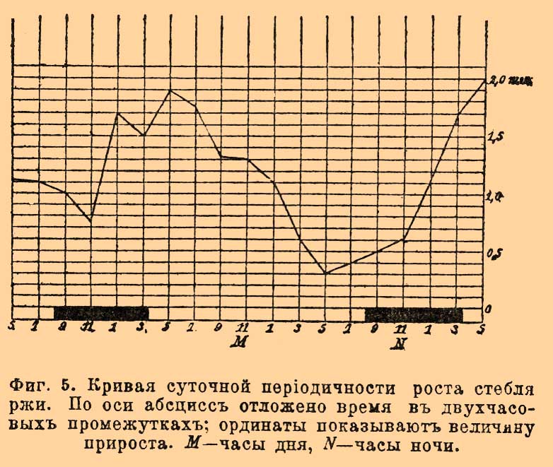 Рост растений. Рис. 4