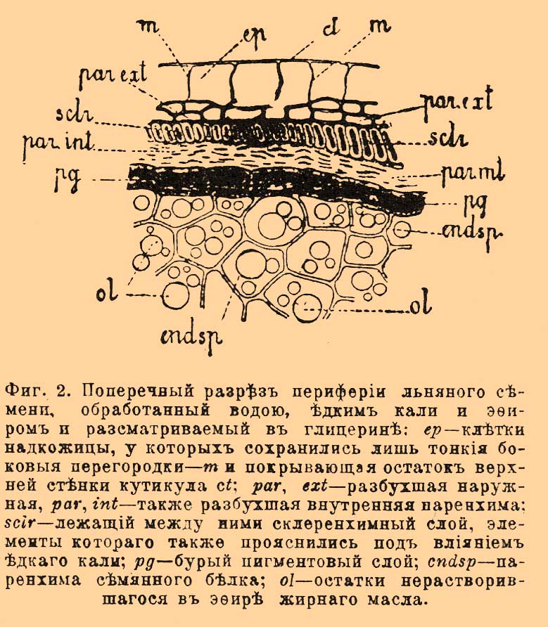 Слизи растительные и камеди в химии. Рис. 1
