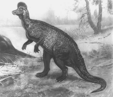 Ламбеозавры