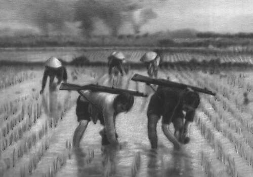 Вьетнам. Рис. 24