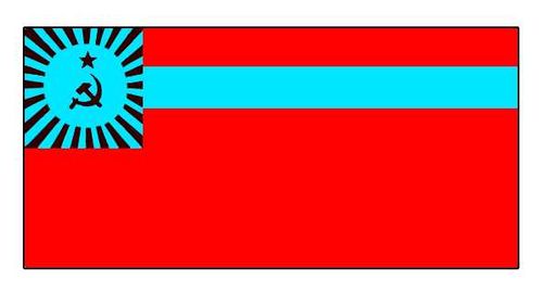 Флаг государственный. Рис. 160