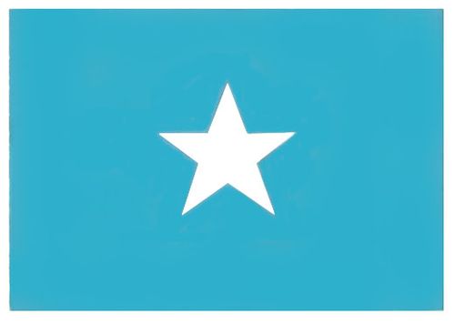 Флаг государственный. Рис. 25