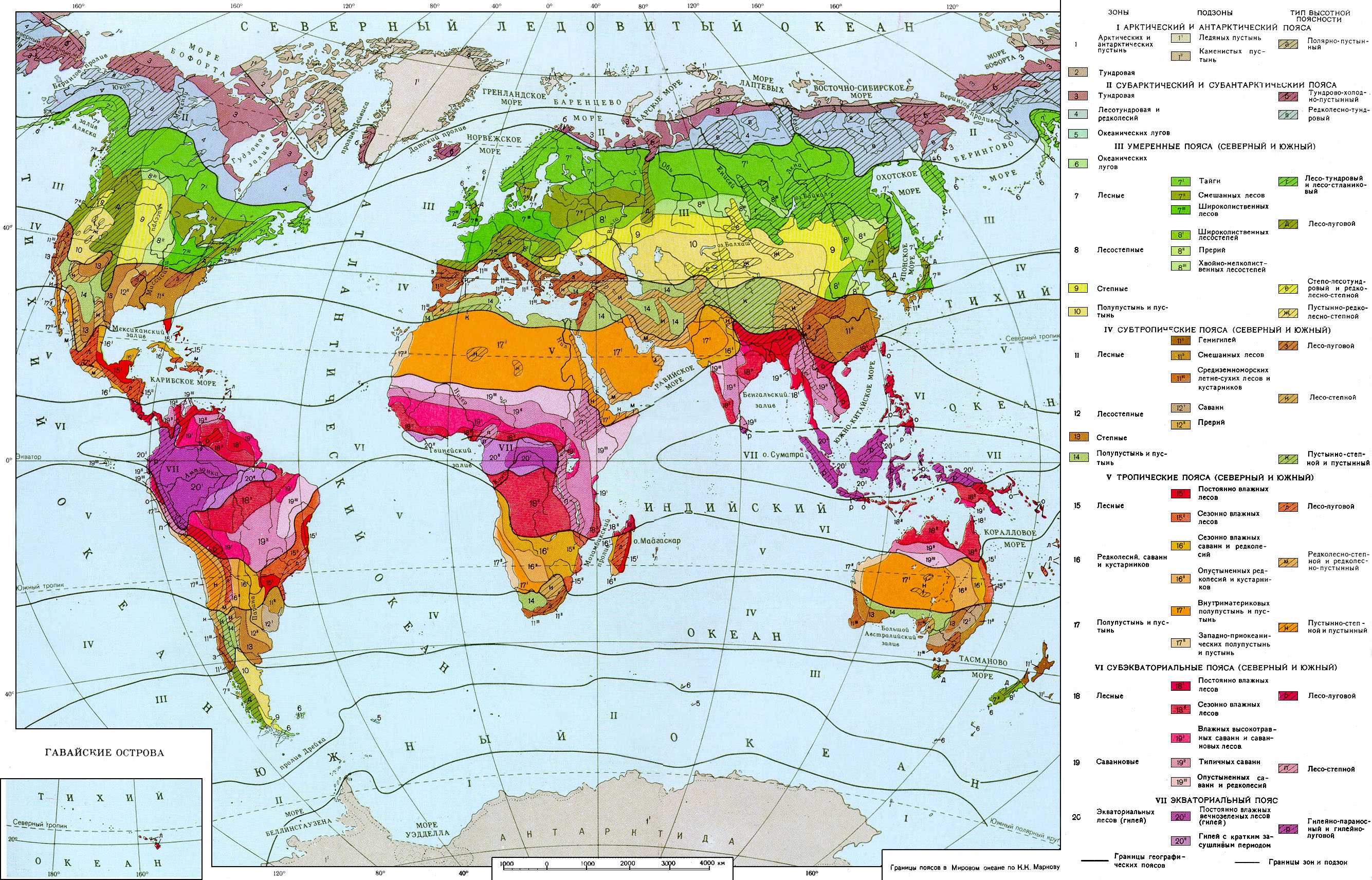 Степные зоны субтропических поясов