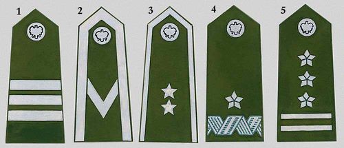 Знаки различия военнослужащих. Рис. 10