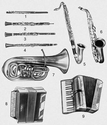 Музыкальные инструменты. Рис. 24