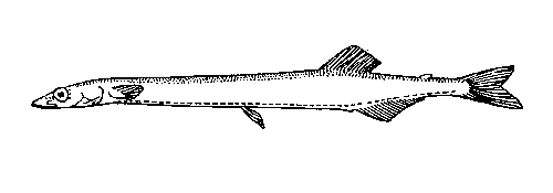 Лапша-рыба