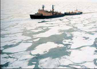 морские льды