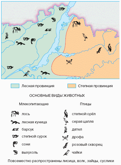 зоогеографическая карта