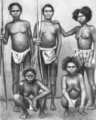 аборигены