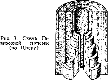 костная ткань. Рис. 3