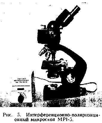 микроскоп. Рис. 5
