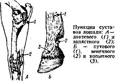 артропункция