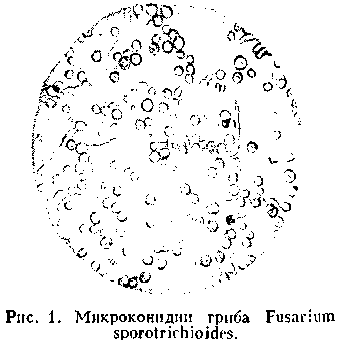 фузариотоксикоз
